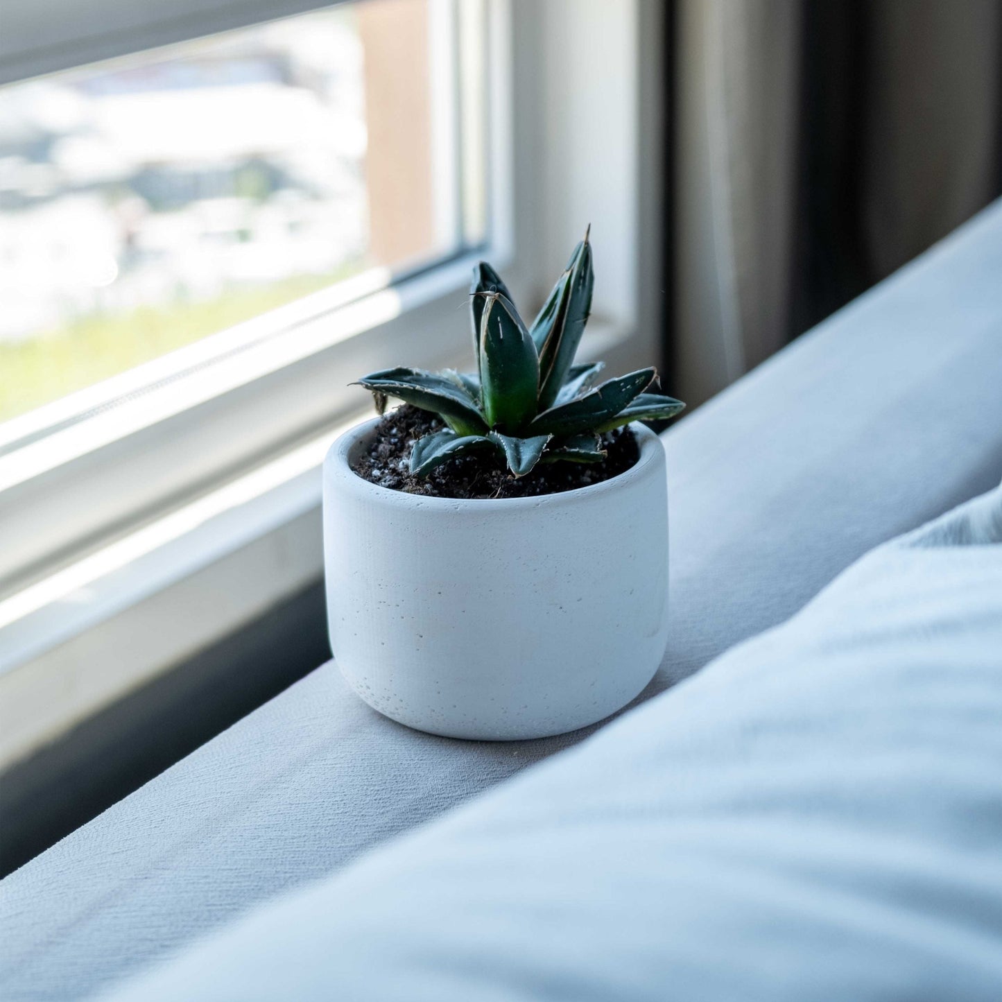 WHITE CONCRETE WIENER POT