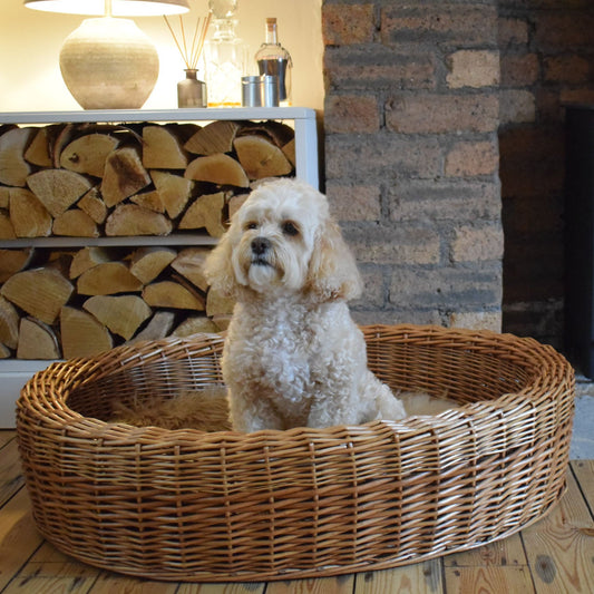 Best In Show - Darcy Wicker Pet Bed (Small)