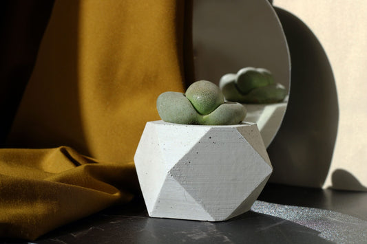 CONCRETE POLYGONAL POT