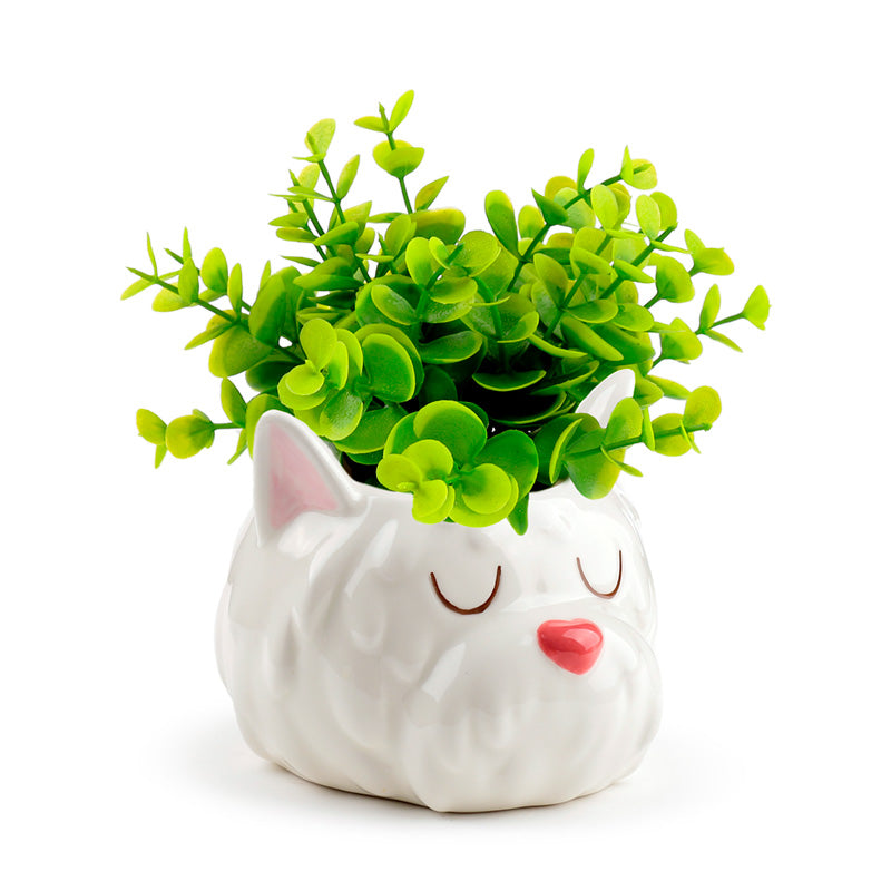 Decorative Ceramic Indoor Shaped Planter - Westie Dog Head