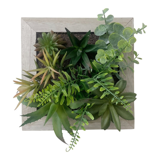 Artificial Succulents In Square Wooden Frame