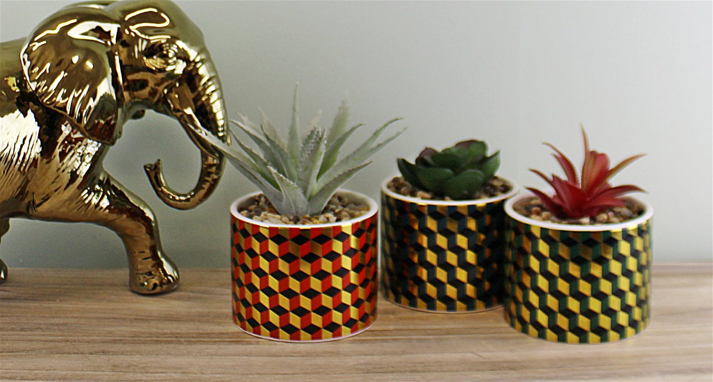 Set of 3 Succulents In Ceramic Pots With A Cubic Design