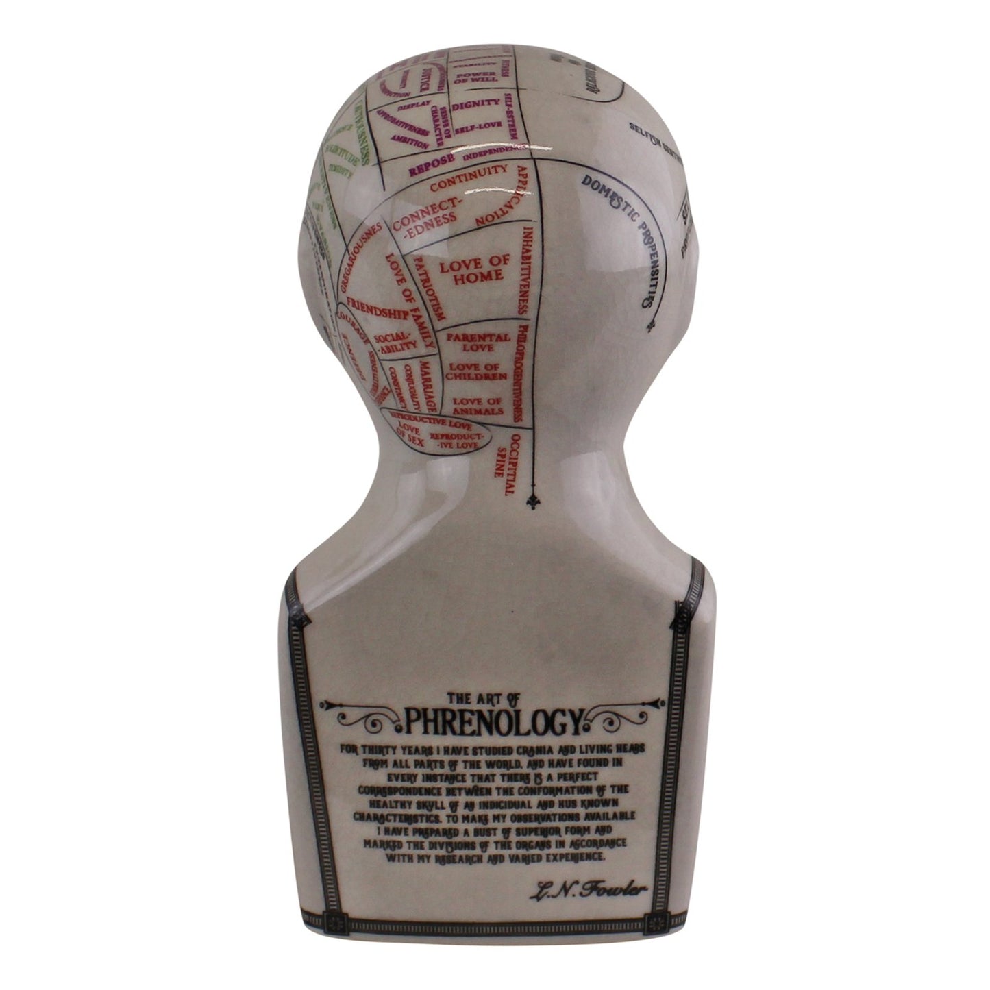 Small Ceramic Crackle Phrenology Head