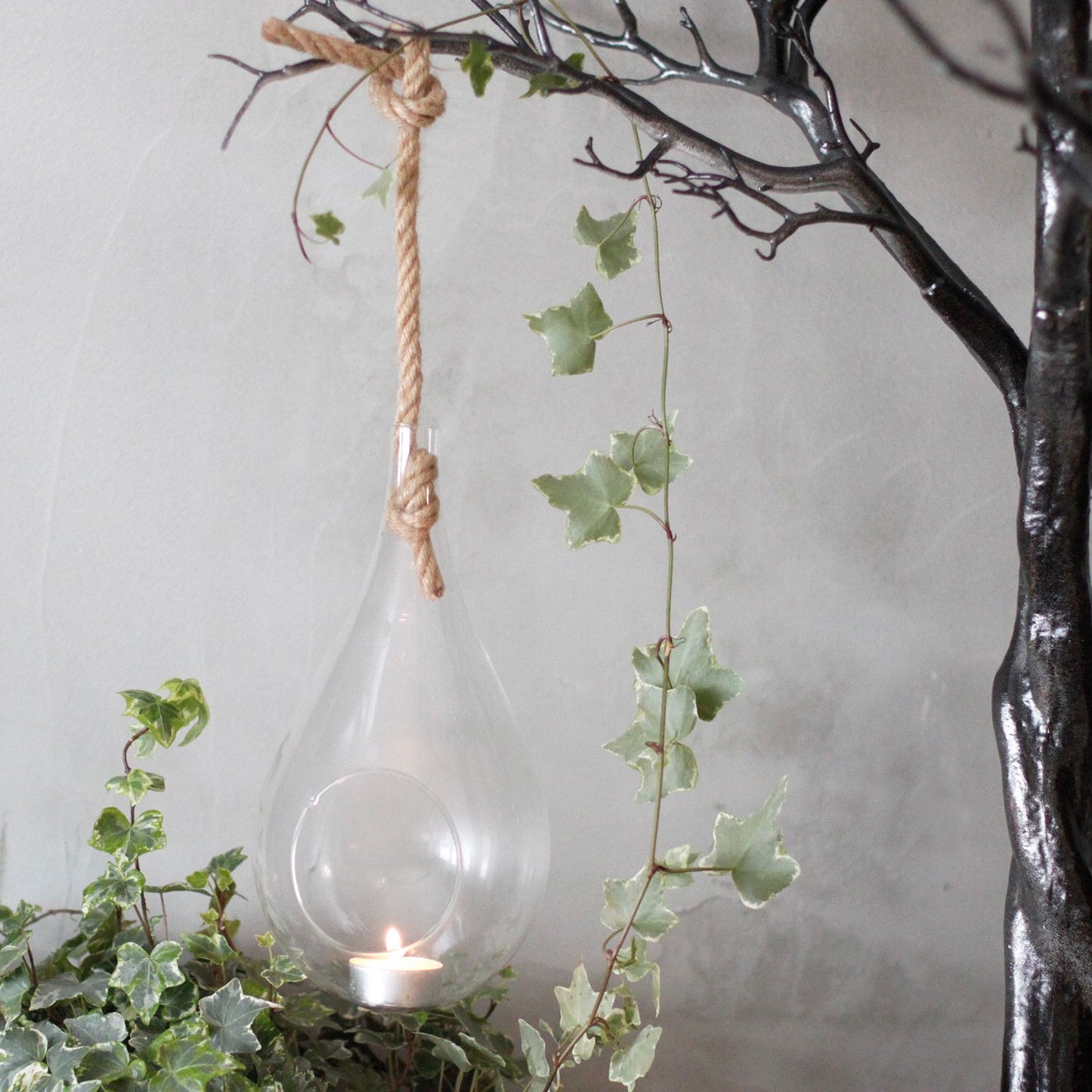 All Glass Terrarium - Hanging Teardrop on Rope