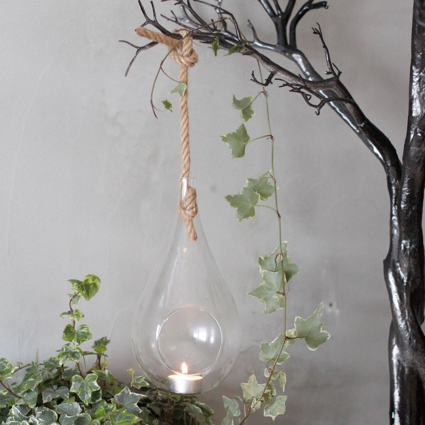 All Glass Terrarium - Hanging Teardrop on Rope