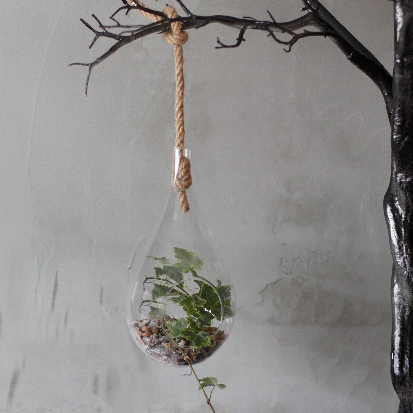 All Glass Terrarium - Hanging Teardrop on Rope