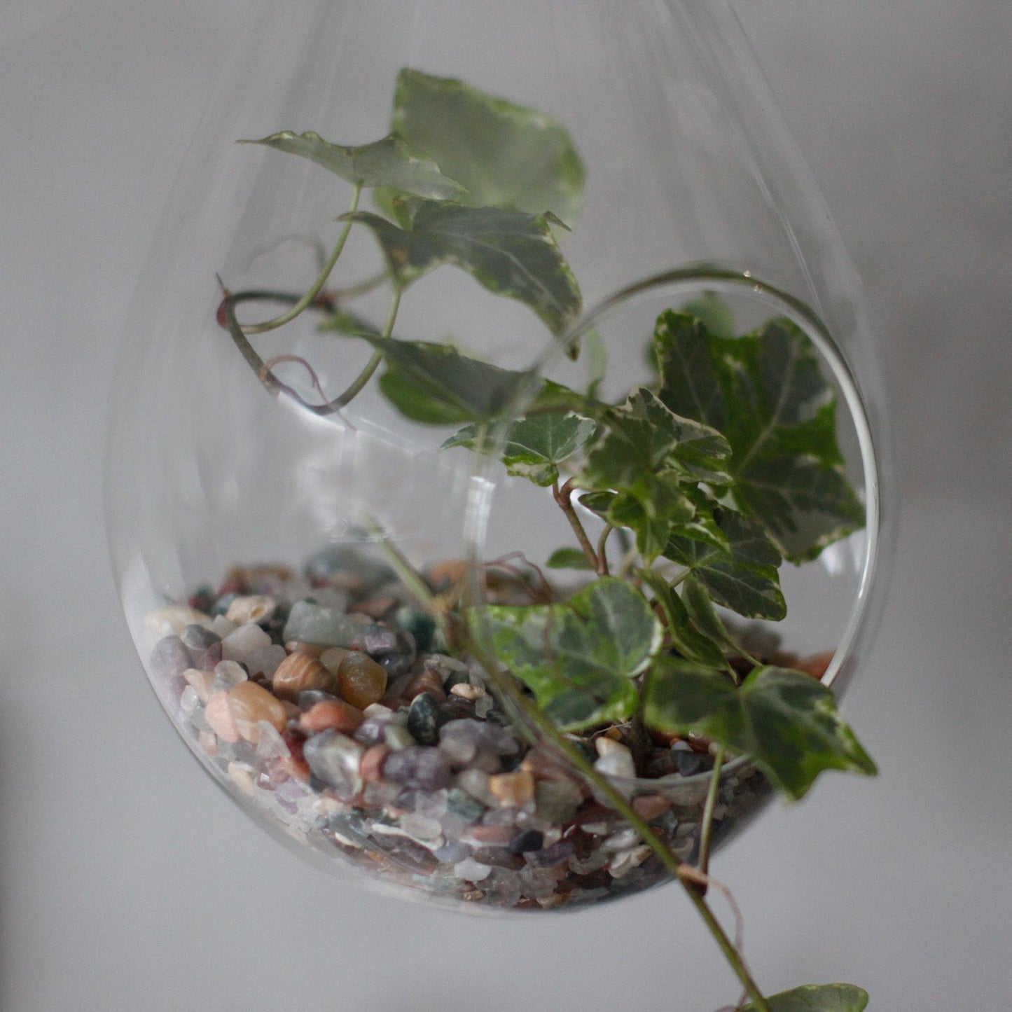 All Glass Terrarium - Hanging Teardrop on Rope