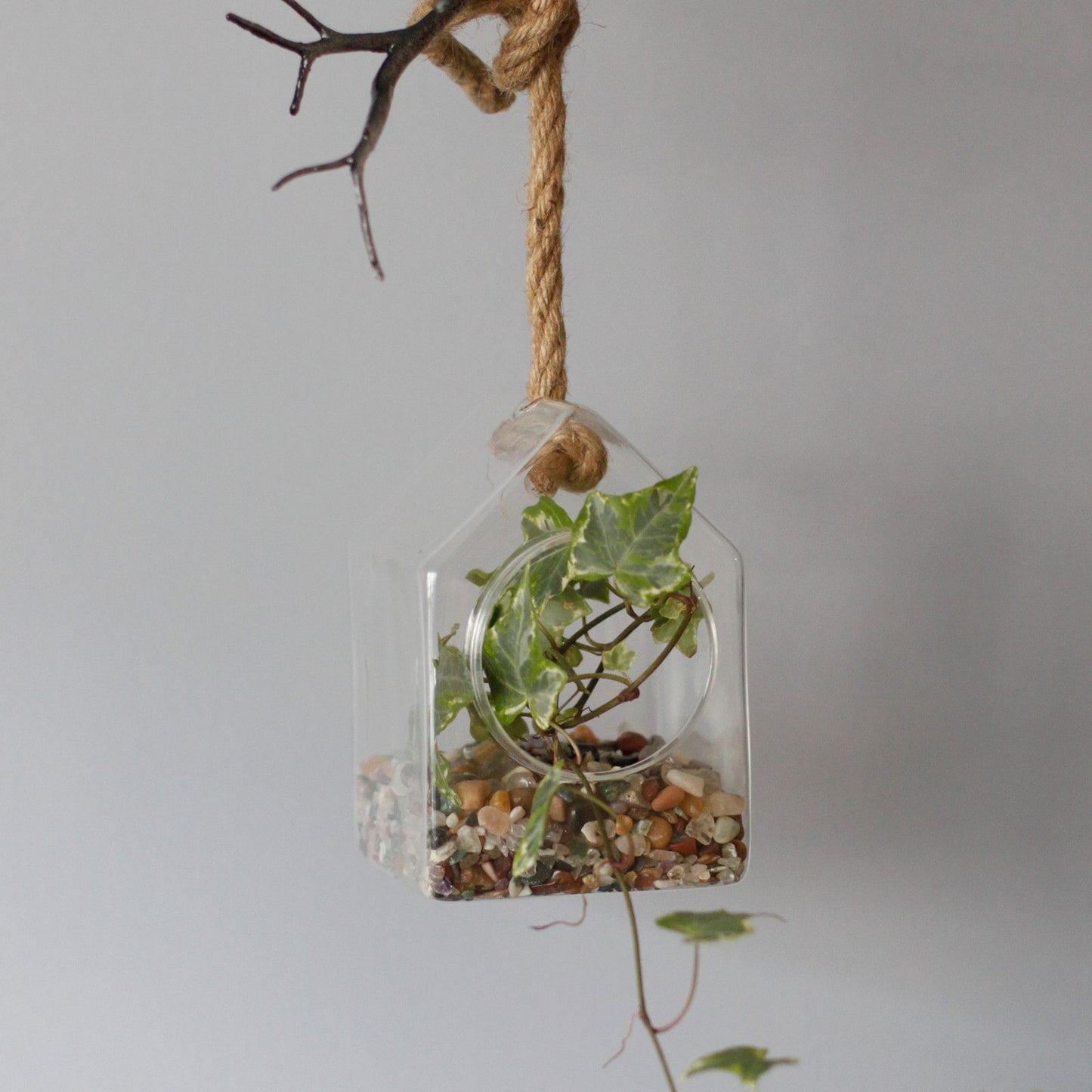 All Glass Terrarium - Hanging House on Rope