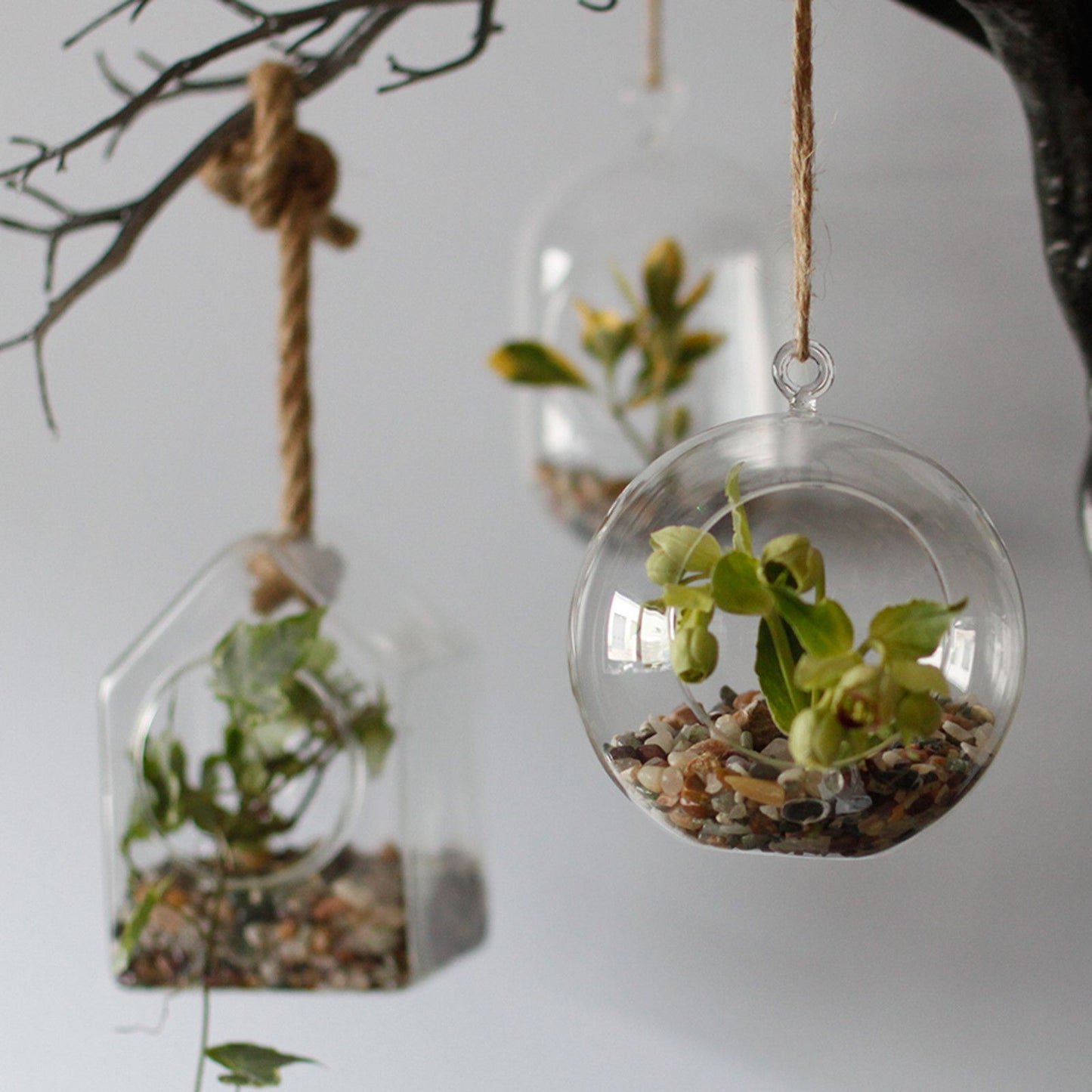 All Glass Terrarium - Hanging House on Rope
