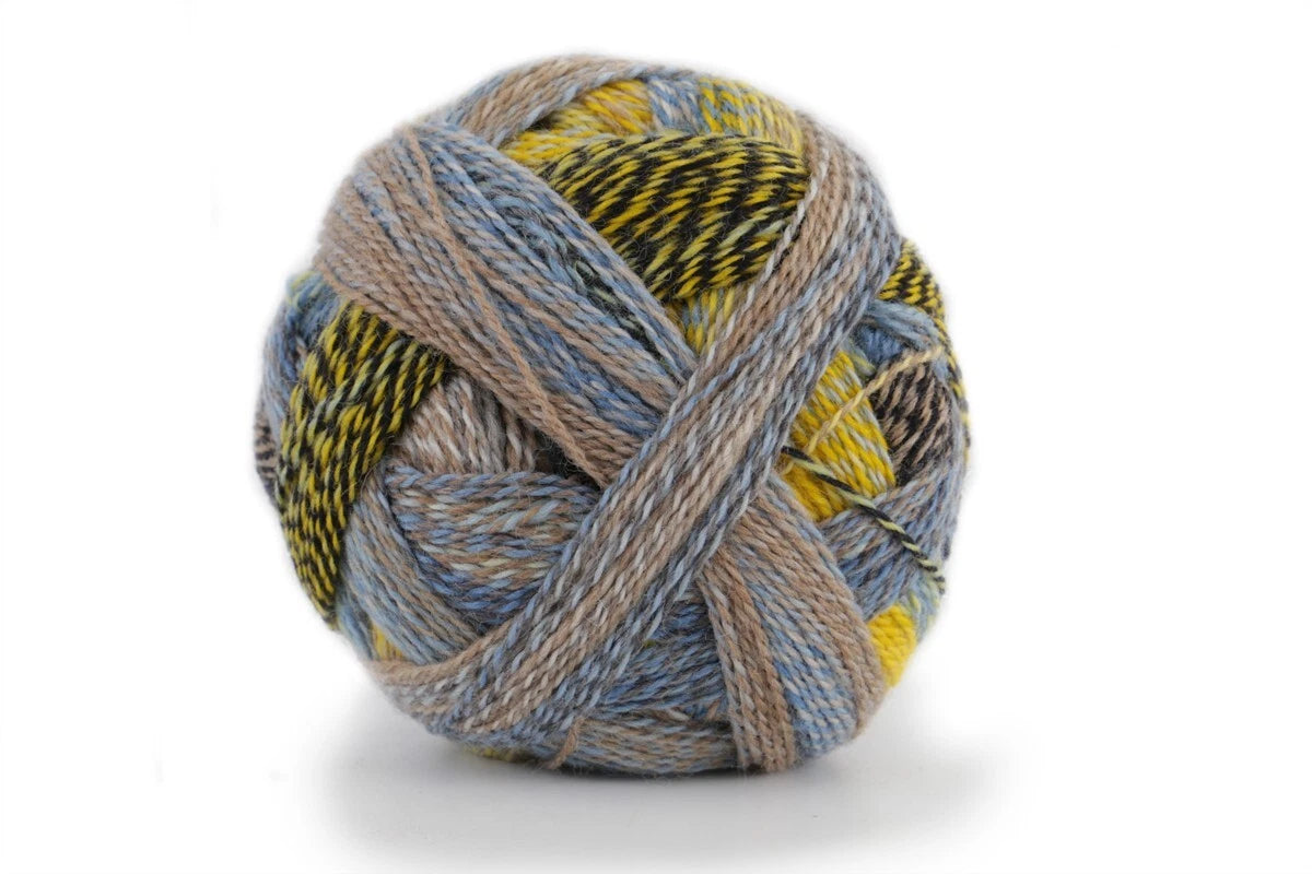 Schoppel Wolle Crazy Zauberball 4 Ply - 100g