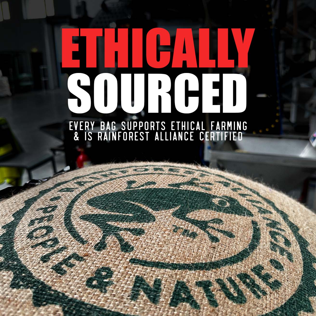 Nespresso Capsules® - Chocolate Hazelnut